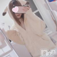 新潟メンズエステ MYIRO　-マイロ-(マイロ)の4月6日お店速報「夜のご予約はお早めに✨お得なクーポンも御座います！！」