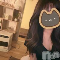 新潟メンズエステ MYIRO　-マイロ-(マイロ)の4月24日お店速報「夜のメンバーはこちら✨新人セラピスト2名出勤します！」