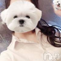 新潟メンズエステ MYIRO　-マイロ-(マイロ)の6月22日お店速報「24時迄受付してます(*^^*)ご予約お待ちしてます✨」