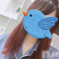 新潟メンズエステ MYIRO　-マイロ-(マイロ)の8月17日お店速報「本日のメンバーはこちら✨総勢11名のセラピストでご来店お待ちしてます！」