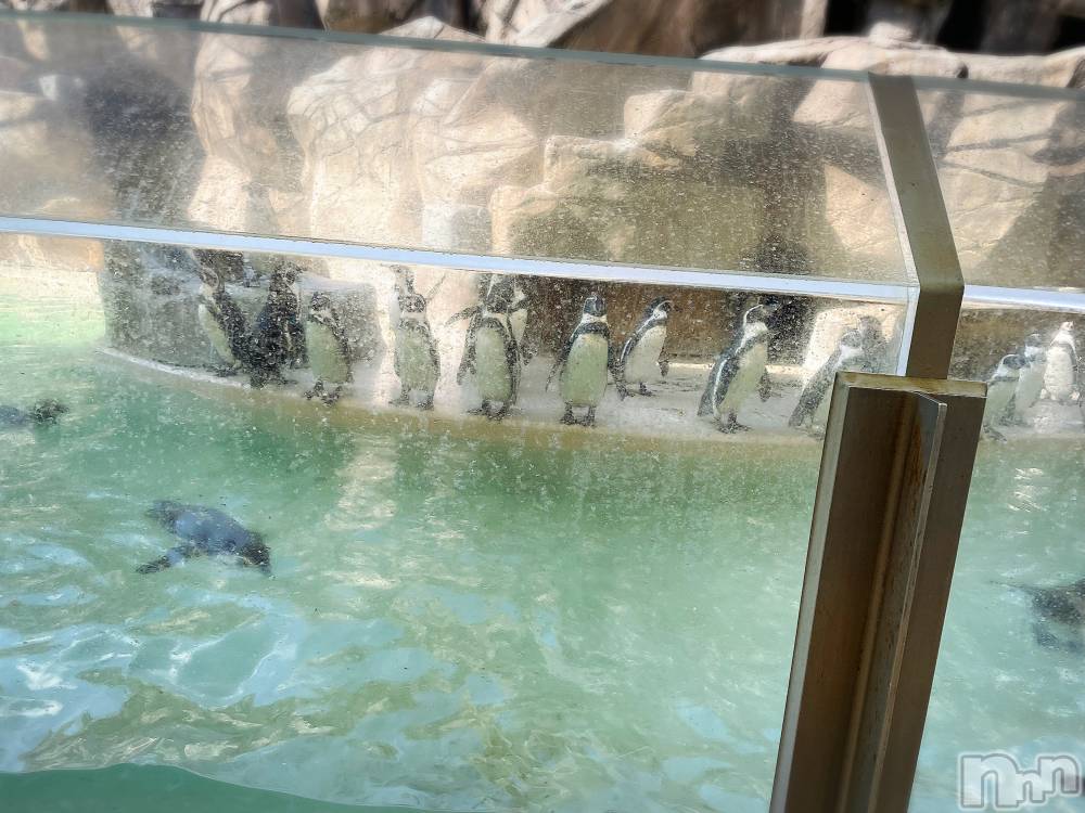 長岡デリヘル長岡風俗出張アロママッサージ(ナガオカフウゾクシュッチョウアロママッサージ) ひろ☆王様可☆(25)の5月30日写メブログ「もうこんな時間」