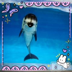 長岡デリヘル長岡風俗出張アロママッサージ(ナガオカフウゾクシュッチョウアロママッサージ) ひろ☆王様可☆(25)の7月16日写メブログ「こんにちは」