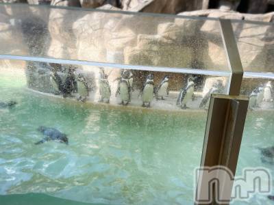 長岡デリヘル 長岡風俗出張アロママッサージ(ナガオカフウゾクシュッチョウアロママッサージ) ひろ☆王様可☆(25)の5月30日写メブログ「もうこんな時間」