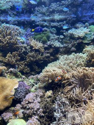 長岡デリヘル 長岡風俗出張アロママッサージ(ナガオカフウゾクシュッチョウアロママッサージ) ひろ☆王様可☆(25)の10月22日写メブログ「こんばんは」