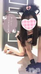 新潟手コキsleepy girl(スリーピーガール) なぎちゃん(22)の8月16日写メブログ「舐め猫拾って下さい。」