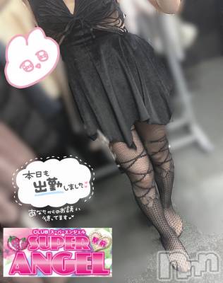 С㤭SUPER ANGEL(ѡ󥸥) Ωꤨ417̥֥( •• )