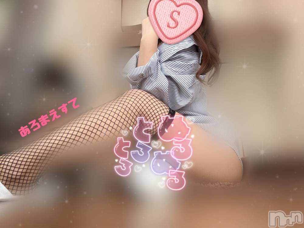 㡦ȯĥꥢ󥺥Ƥޤơ(ޥƥåȥ˥) 費ͤ211̥֥֤ǥݥĴ