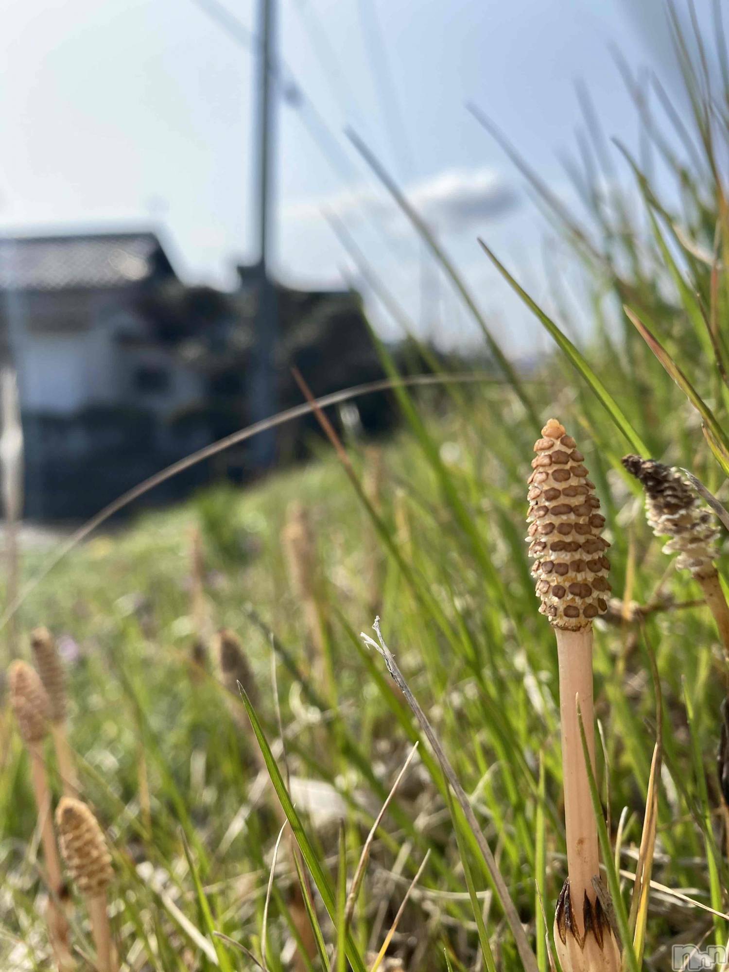 新潟メンズエステあろまえすて＠新潟(アロマエステアットニイガタ)宇宙音＊そらね(25)の2026年3月18日写メブログ「暇嬢」