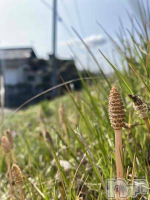 新潟メンズエステ あろまえすて＠新潟(アロマエステアットニイガタ) 宇宙音＊そらね(25)の3月18日写メブログ「暇嬢」