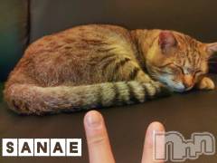 長野デリヘル閨(ネヤ) さなえ(44)の8月22日写メブログ「おはようございます♪…さなえです♪」