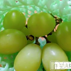 長野デリヘル閨(ネヤ) さなえ(44)の10月17日写メブログ「おはようございます…さなえです♪」