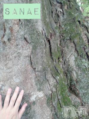 長野デリヘル 閨(ネヤ) さなえ(44)の8月26日写メブログ「おはようございます…さなえです♪」