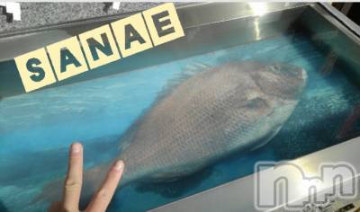 長野デリヘル 閨(ネヤ) さなえ(44)の12月7日写メブログ「こんばんは…さなえです♪」