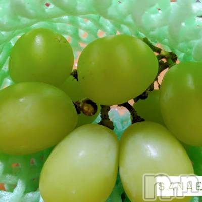 長野デリヘル 閨(ネヤ) さなえ(44)の10月17日写メブログ「おはようございます…さなえです♪」