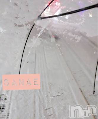 長野デリヘル 閨(ネヤ) さなえ(44)の1月12日写メブログ「おはようございます…さなえです♪」