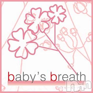 󥺥baby's breath(٥ӡ ֥쥹) Ҥ53̥֥֤Ϥޤơҡʤ椦ˤǤ