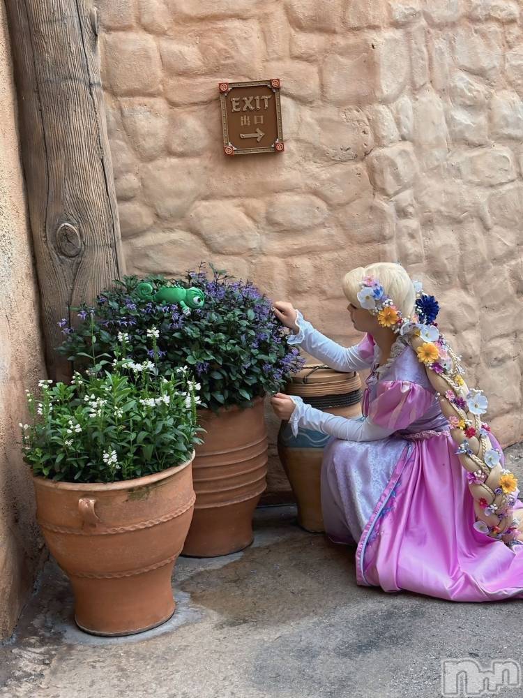 ƲХ顦ֲ֥ڲСݣȣΣ£ɡ(֥ϥʥ) ߤ1031̥֥֤Ϥ褦ޤ