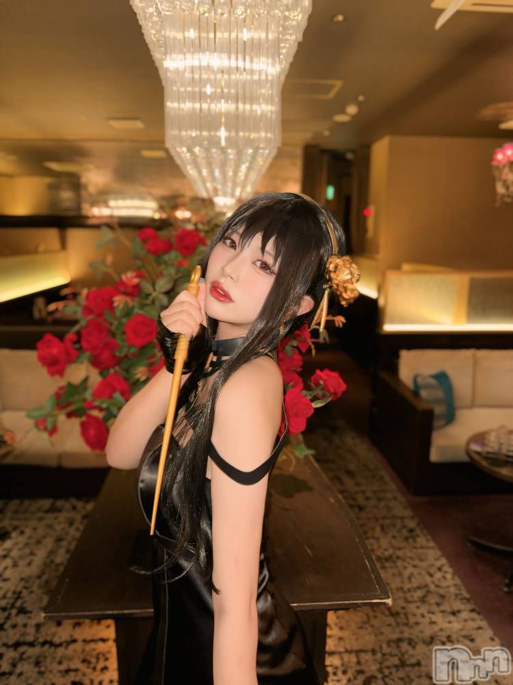 ƲХ顦ֲ֥ڲСݣȣΣ£ɡ(֥ϥʥ) ߤ1114̥֥֤Ϥ褦ޤ