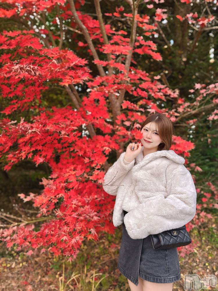 ƲХ顦ֲ֥ڲСݣȣΣ£ɡ(֥ϥʥ) ߤ1123̥֥֤Ϥ褦ޤ