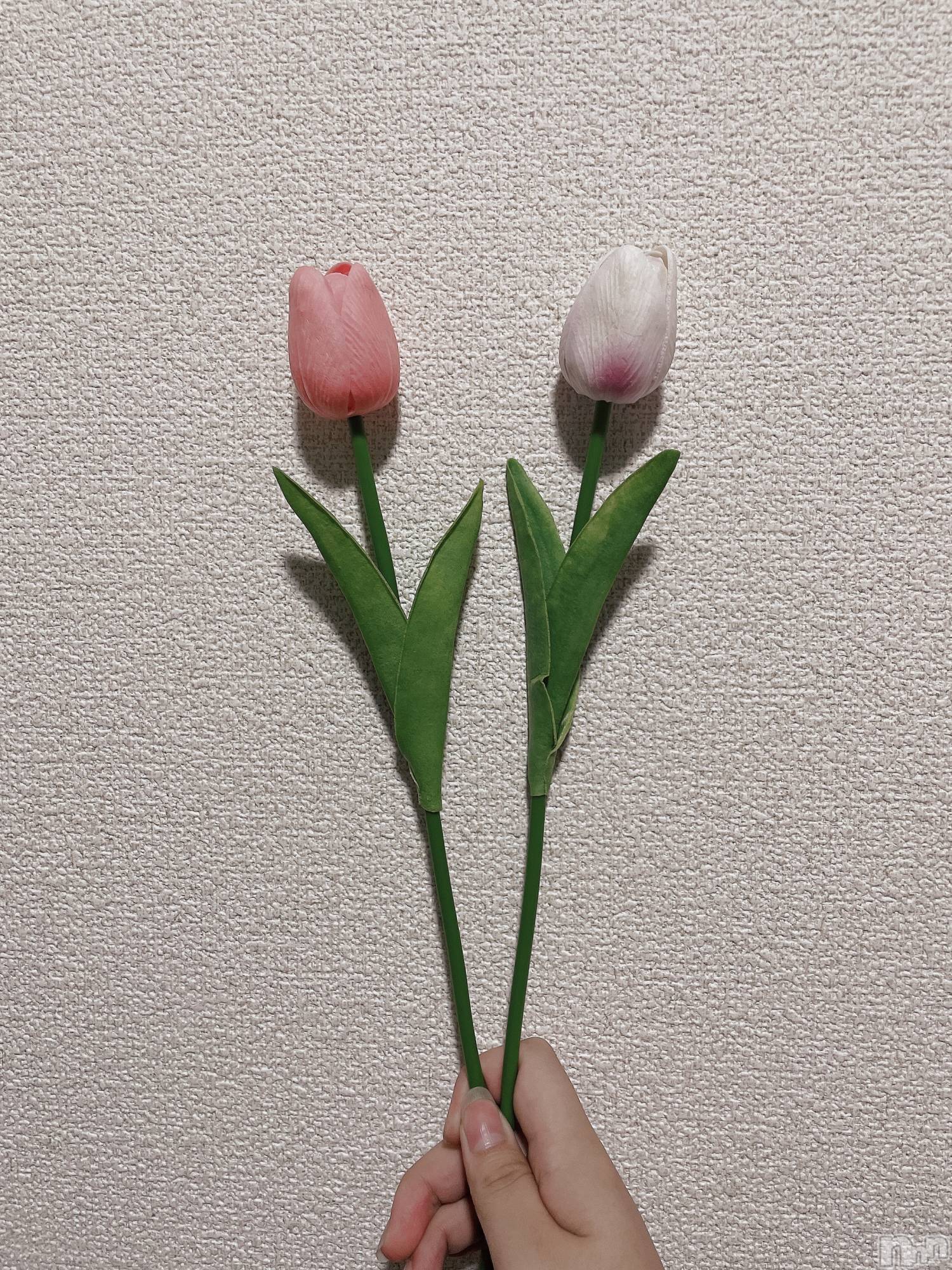ƲХ顦ֲ֥ڲСݣȣΣ£ɡ(֥ϥʥ) 2021ǯ827̥֥🌷