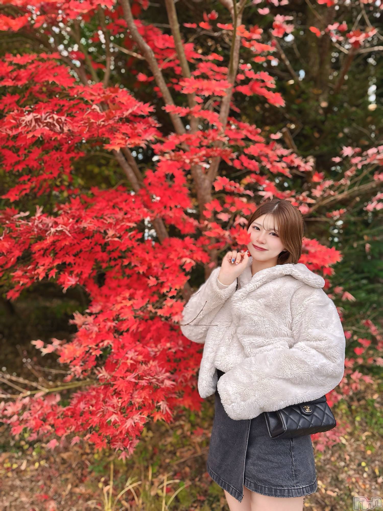 ƲХ顦ֲ֥ڲСݣȣΣ£ɡ(֥ϥʥ) 2025ǯ1123̥֥֤Ϥ褦ޤ