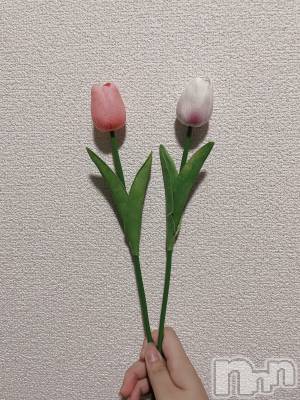 ��Ʋ����Х��顦����֥���ֲڲСݣȣ��Σ��£ɡ�(����֥ϥʥ�) �����(24)��8��27���̥�֥�����🌷��