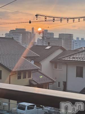 ��Ʋ����Х��顦����֥���ֲڲСݣȣ��Σ��£ɡ�(����֥ϥʥ�) �����(24)��8��28���̥�֥�����🌅��