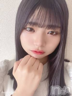 ��Ʋ����Х��顦����֥���ֲڲСݣȣ��Σ��£ɡ�(����֥ϥʥ�) �����(24)��1��29���̥�֥����֤��Ϥ褦�������ޤ���