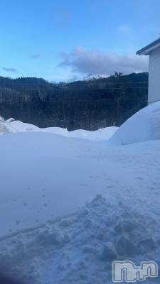 ��Ʋ����Х��顦����֥���ֲڲСݣȣ��Σ��£ɡ�(����֥ϥʥ�) �����(24)��2��8���̥�֥��������С���