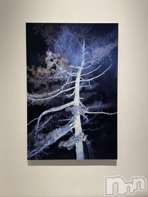 ��Ʋ����Х��顦����֥���ֲڲСݣȣ��Σ��£ɡ�(����֥ϥʥ�) �����(24)��2��9���̥�֥��������Ѵۡ�