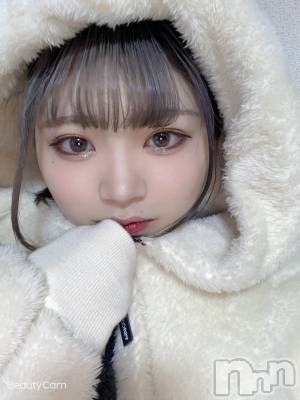 ��Ʋ����Х��顦����֥���ֲڲСݣȣ��Σ��£ɡ�(����֥ϥʥ�) �����(24)��2��12���̥�֥����ֺ����ϡ���