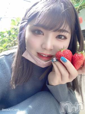 ��Ʋ����Х��顦����֥���ֲڲСݣȣ��Σ��£ɡ�(����֥ϥʥ�) �����(24)��4��5���̥�֥����֤��Ϥ褦�������ޤ���