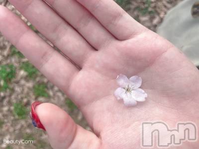 ��Ʋ����Х��顦����֥���ֲڲСݣȣ��Σ��£ɡ�(����֥ϥʥ�) �����(24)��4��11���̥�֥����ֽա�