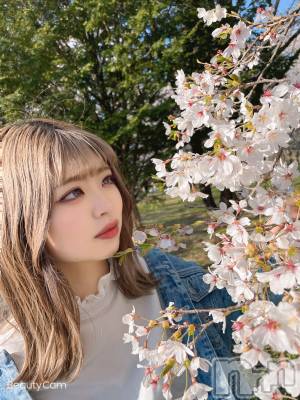 ��Ʋ����Х��顦����֥���ֲڲСݣȣ��Σ��£ɡ�(����֥ϥʥ�) �����(24)��4��19���̥�֥����ֺ���