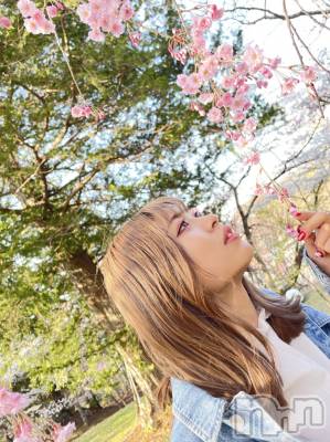 ��Ʋ����Х��顦����֥���ֲڲСݣȣ��Σ��£ɡ�(����֥ϥʥ�) �����(24)��4��20���̥�֥����֤��Ϥ褦�������ޤ���