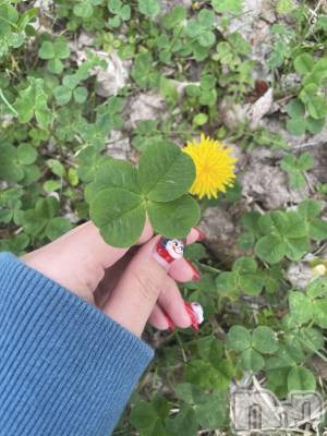 ��Ʋ����Х��顦����֥���ֲڲСݣȣ��Σ��£ɡ�(����֥ϥʥ�) �����(24)��4��24���̥�֥�����🍀*����