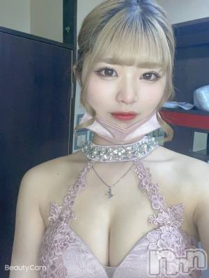 ��Ʋ����Х��顦����֥���ֲڲСݣȣ��Σ��£ɡ�(����֥ϥʥ�) �����(24)��5��12���̥�֥����֤��Ϥ褦�������ޤ���