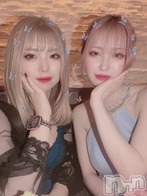 ��Ʋ����Х��顦����֥���ֲڲСݣȣ��Σ��£ɡ�(����֥ϥʥ�) �����(24)��5��14���̥�֥����ֻ��������(��)��