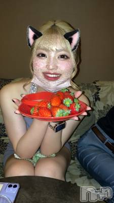 ��Ʋ����Х��顦����֥���ֲڲСݣȣ��Σ��£ɡ�(����֥ϥʥ�) �����(24)��5��21���̥�֥����֤�������