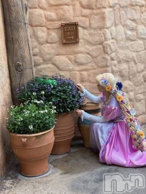 ƲХ顦ֲ֥ڲСݣȣΣ£ɡ(֥ϥʥ) (24)1031̥֥֤Ϥ褦ޤ