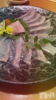 🐟🐟🐟🐟🐟🐟