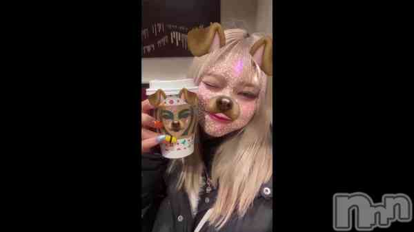 &#x1F436; &#x341;&#x316;-&#x202C;