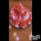 ƲХ顦ֲ֥ڲСݣȣΣ£ɡ(֥ϥʥ) ߤư🍧