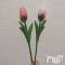 ƲХ顦ֲ֥ڲСݣȣΣ£ɡ(֥ϥʥ) ߤ827̥֥🌷