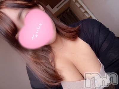 㡦ȯĥꥢ󥺥Ƥޤơ(ޥƥåȥ˥) ĤФ(29)615̥֥NO