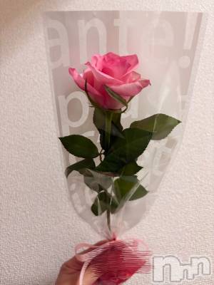 㡦ȯĥꥢ󥺥Ƥޤơ(ޥƥåȥ˥) ĤФ(30)1018̥֥֥