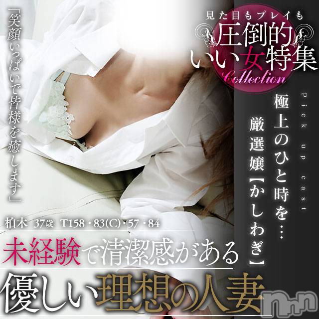 新潟人妻デリヘル(シタゴコロ)の2025年3月24日お店速報「3/24(月)　総勢12名出勤です💕理想の奥様がキット見つかります💕」