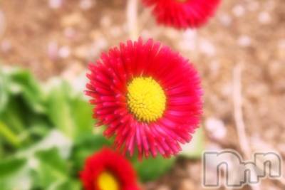 新潟デリヘル ジャスミン 電撃復活！あの娘です！　あん(24)の5月26日写メブログ「ほわほわ𓈒 𓂂𓏸」