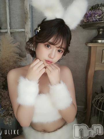 長岡デリヘルROOKIE(ルーキー)にこる(22)の2022年9月26日写メブログ「お久しぶりです🙇🏻‍♀️」