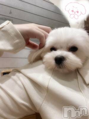 長野人妻デリヘル 完熟マダム(カンジュクマダム) 沙和(40)の5月1日写メブログ「[お題]from:香ばしいのさん」